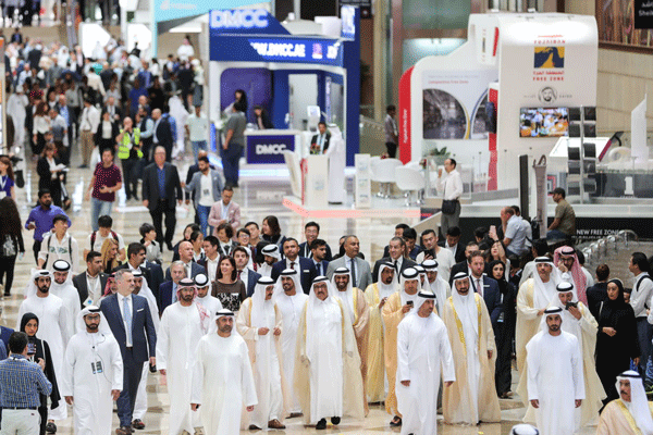 In pictures: The Big 5 in Dubai