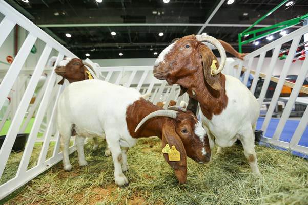 The farming show geo-cloning across the world