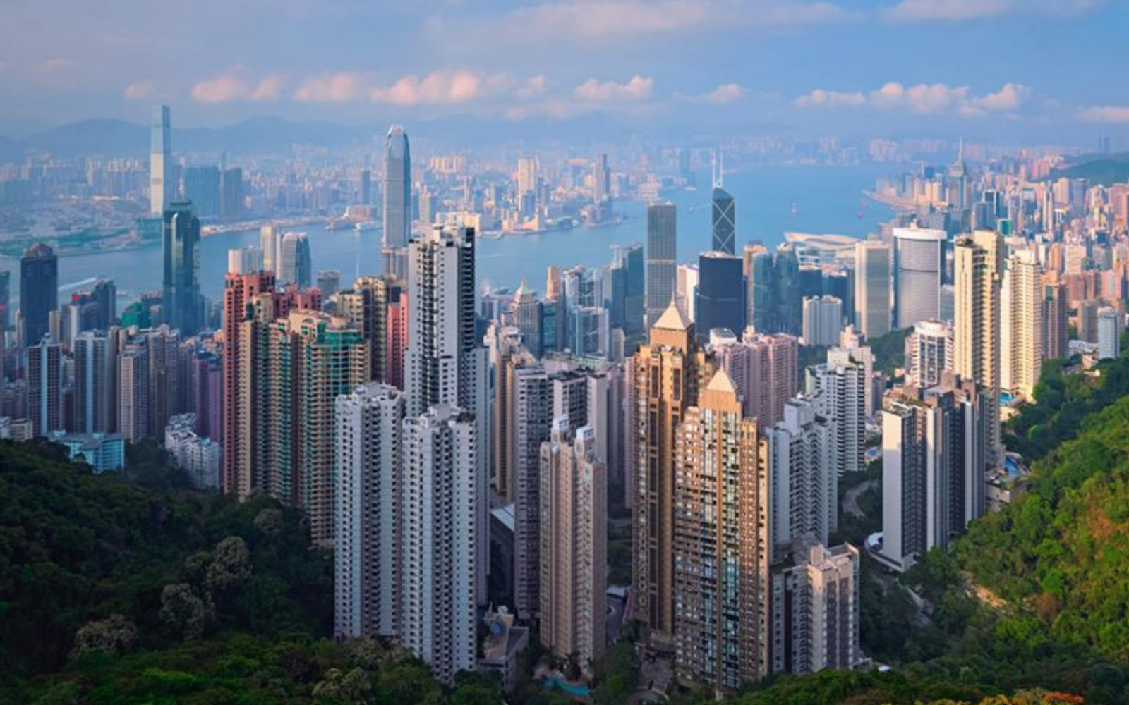 Hong Kong government commits to expanding exhibition space