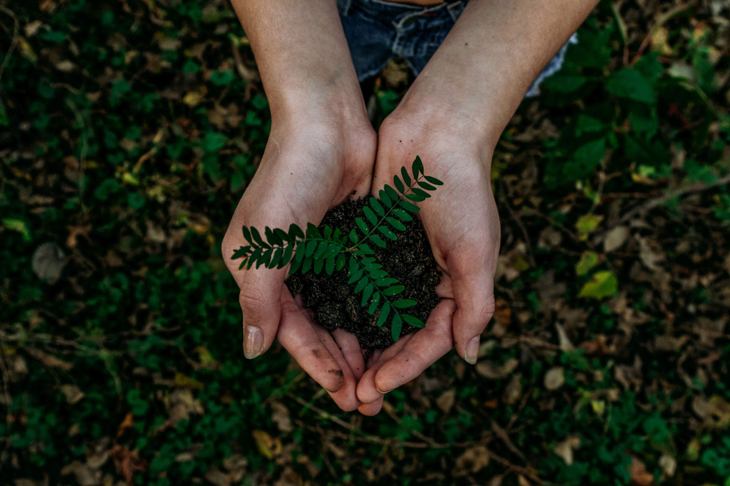 Positive Impact fundraising for event climate framework ahead of Earth Day