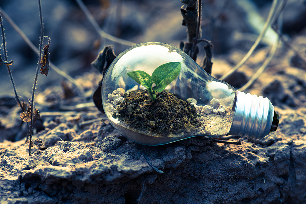 sustainability-green-eco-stock