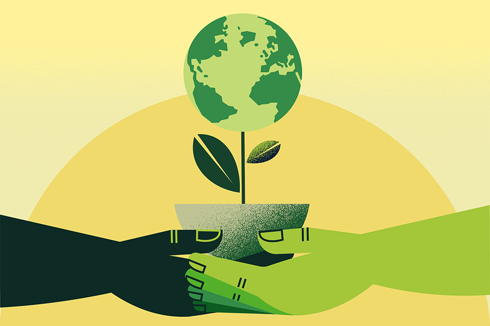 The greenest Bulb in the box