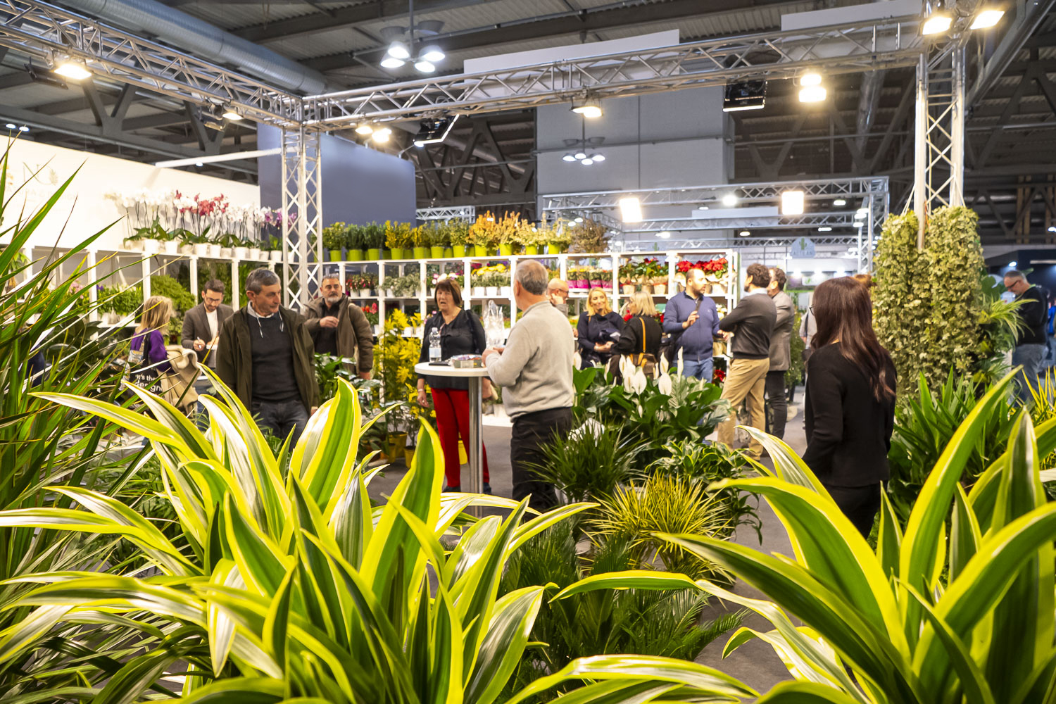 First Italian B2B green industry trade fair in Dubai to open in November 2025