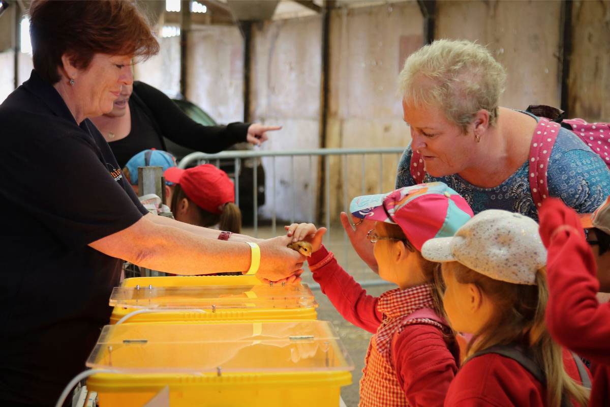 East of England Arena hosts Food & Farming Day for children