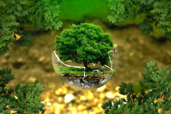 Prime Impact to launch The EcoLiving Show