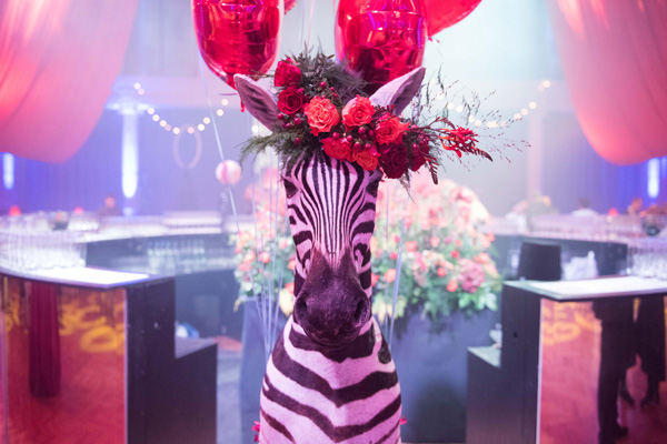 Royal Horticultural Hall announces new suppliers